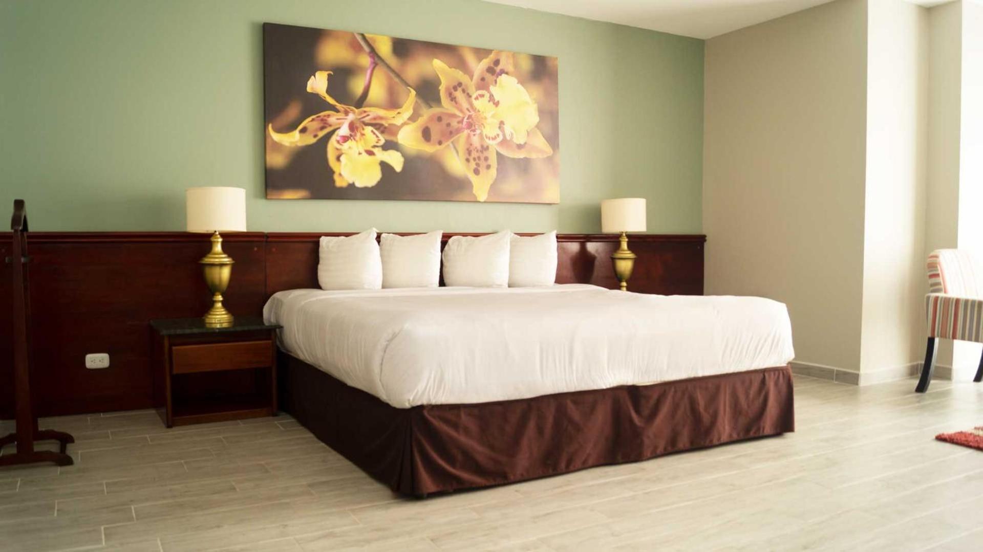 Hotel Palma Real San Jose (San Jose)