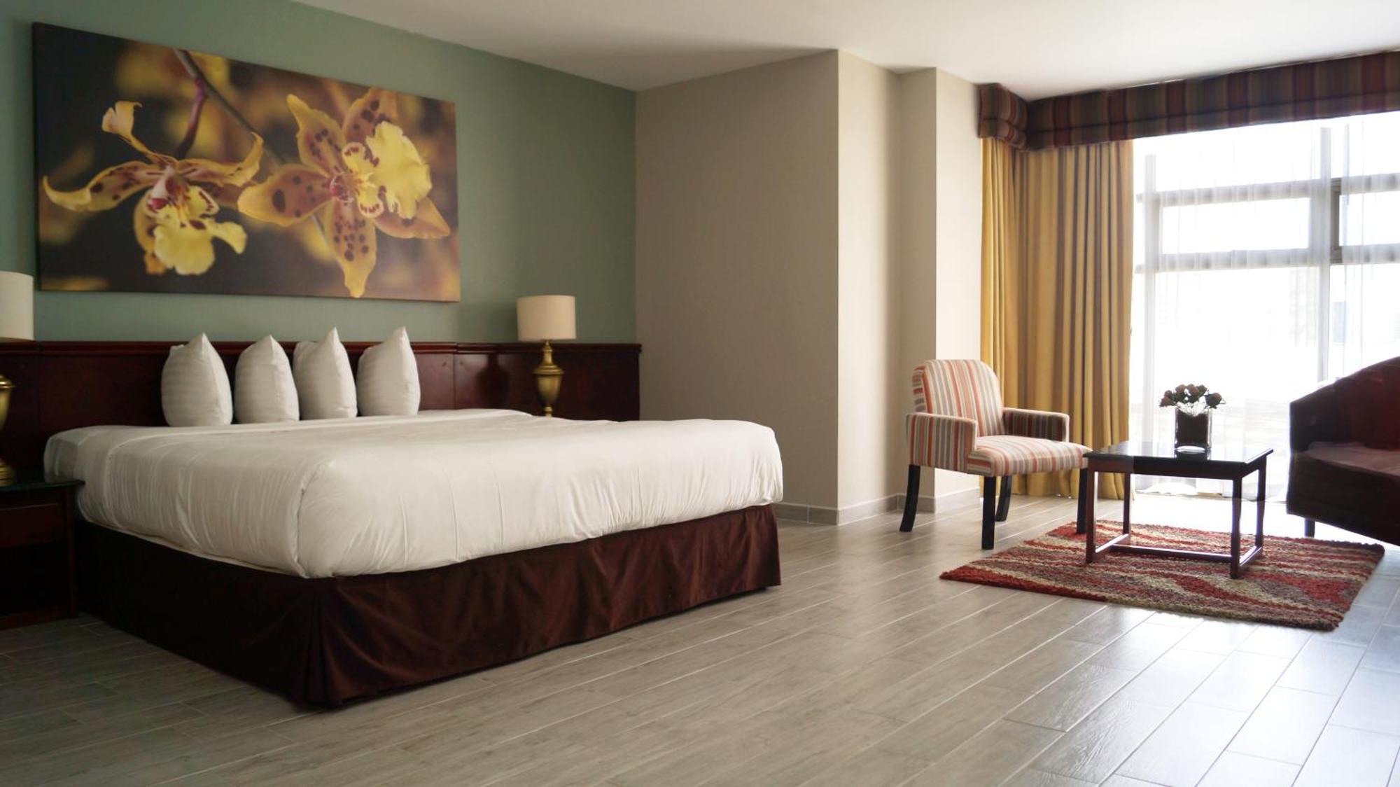 Palma Real Hotel San Jose (San Jose)